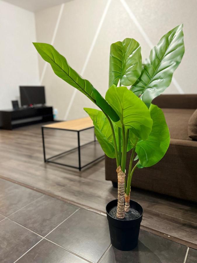 Cosy 0 , Mulhouse Centre Apartment Екстериор снимка